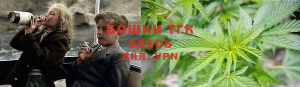 spice Абаза