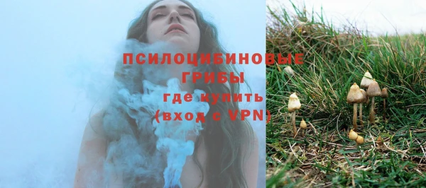 spice Абаза