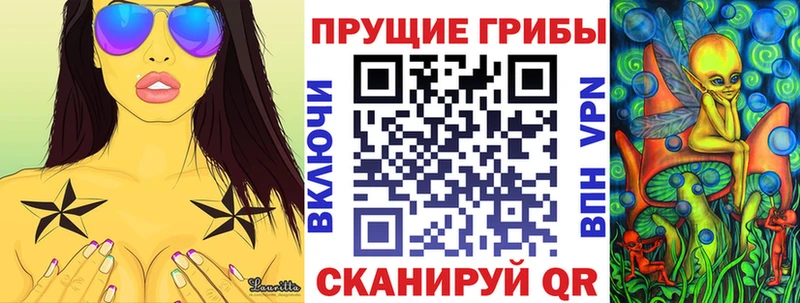 OMG tor  Райчихинск  Псилоцибиновые грибы прущие грибы  где продают  